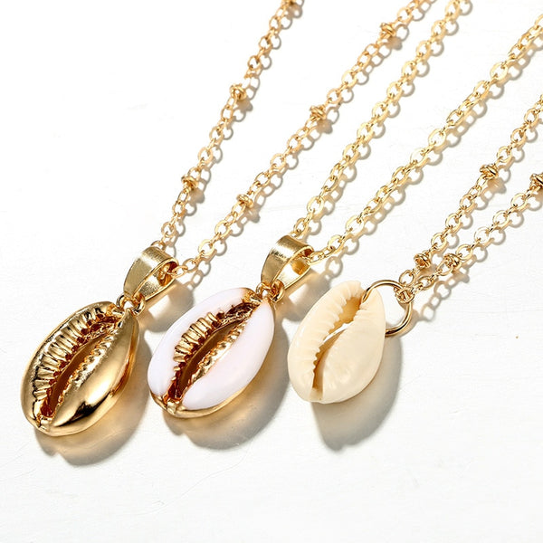 Gold Accent Cowrie Shells