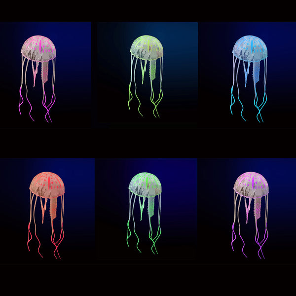 Multi-Colored Jellyfish Options